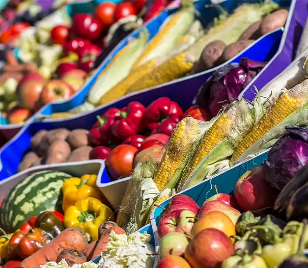 a shelf of fruit and vegetables